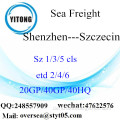 Shenzhen Port Sea Freight Versand nach Szczecin